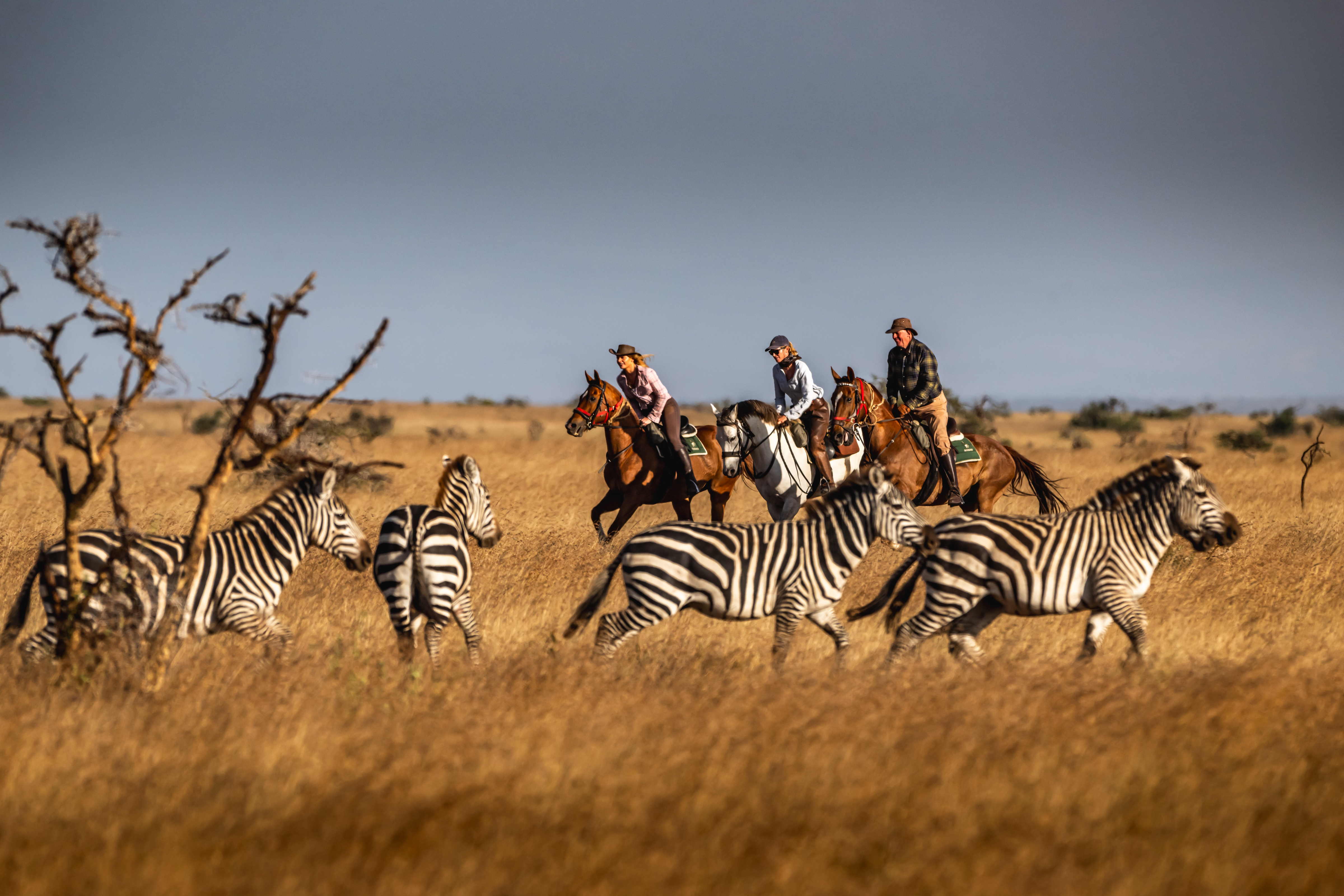 Kenya Horseback Safari in Laikipia – 8-Day Sosian Ranch Riding & Wildlife Experience